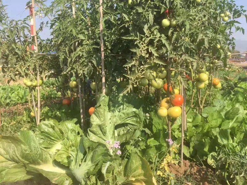 1579664465114447.jpg c4.webp.jpg