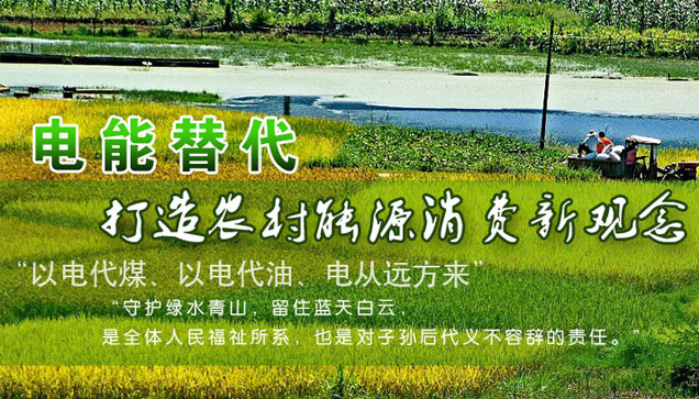 關(guān)于推進(jìn)電能替代的指導(dǎo)意見 關(guān)于推進(jìn)電能替代的指導(dǎo)意見