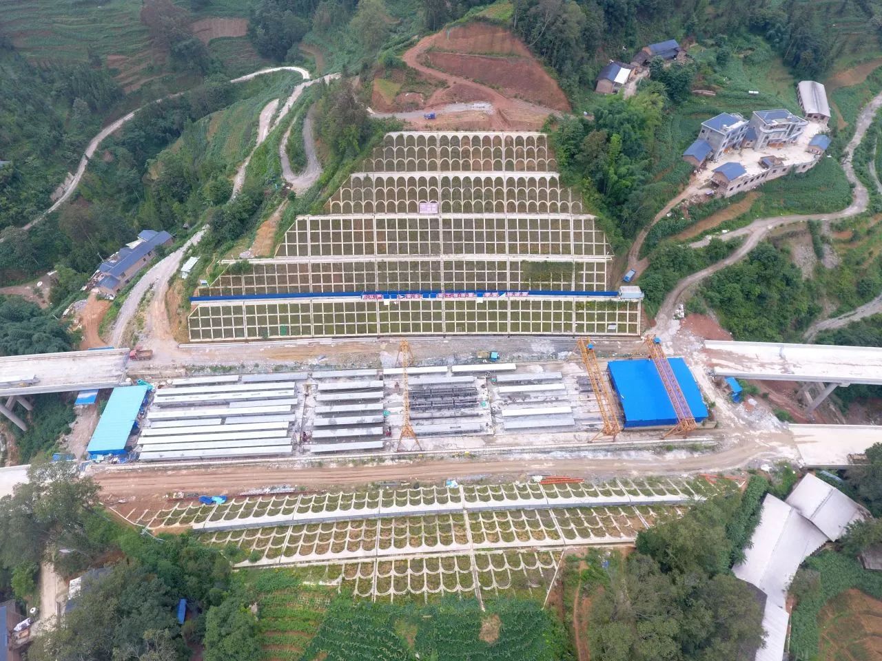 1720057778820530.jpg 1720057778820530.jpg